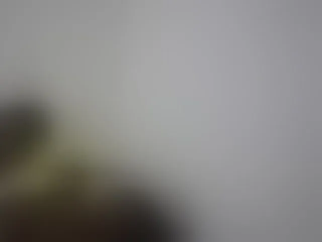 Live sex webcam photo for princess-scovia #293239749