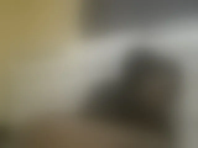 Live sex webcam photo for princess-zarih #293936449
