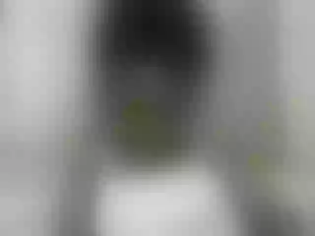 Live sex webcam photo for princessAria #291853708