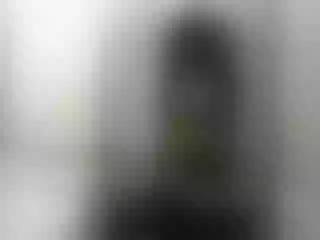 Live sex webcam photo for princessAria #291885350