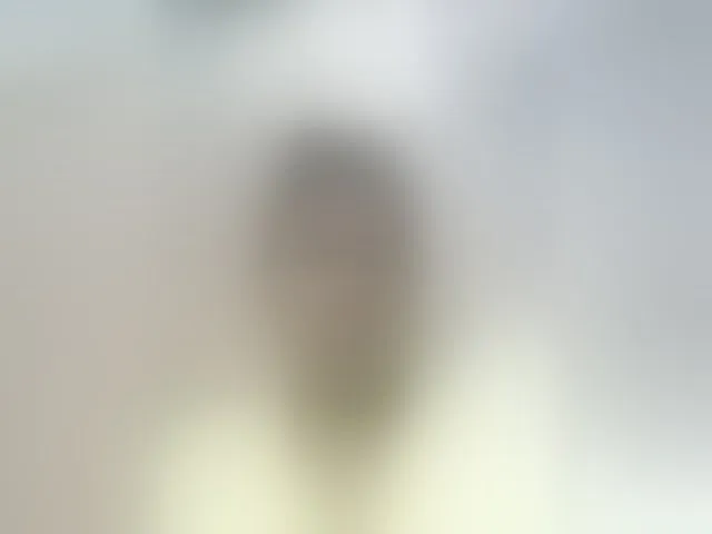 Live sex webcam photo for princillah1 #293483808