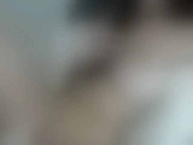 Live sex webcam photo for ps5pr #293941037