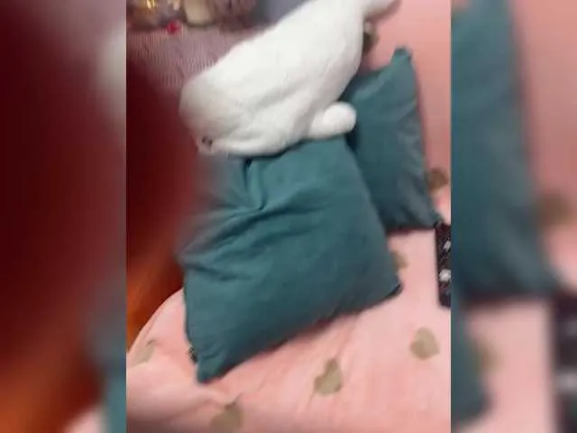 Live sex webcam photo for puppy19 #292176686