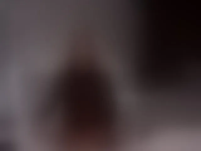 Live sex webcam photo for pupsik-24 #294173378