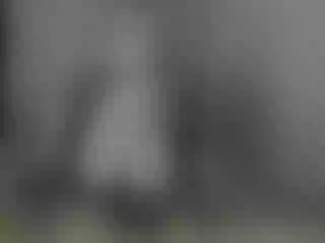 Live sex webcam photo for pussyboom11 #272287593