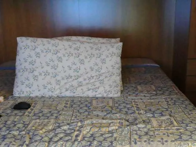 Live sex webcam photo for pussyboom11 #277046843