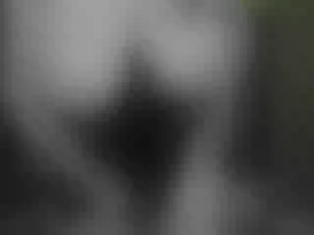 Live sex webcam photo for pussyboom11 #291310927