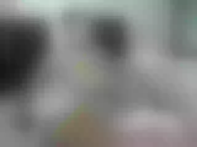 Live sex webcam photo for pussyboy19 #277582570