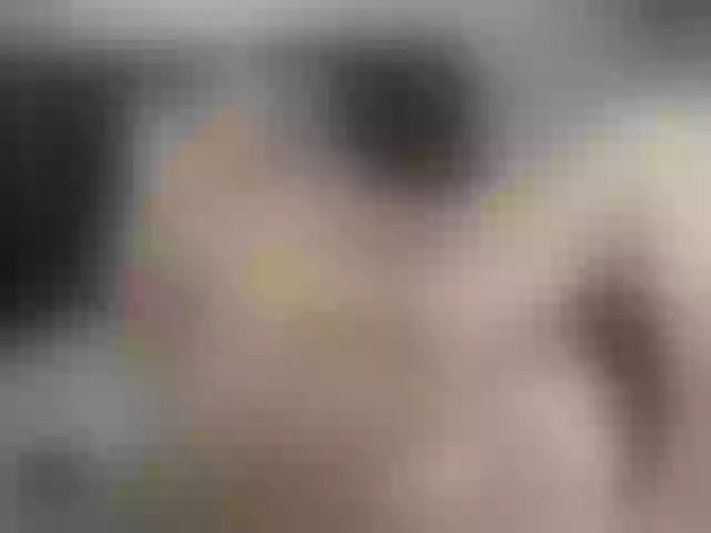 Live sex webcam photo for pussyboy19 #277856502