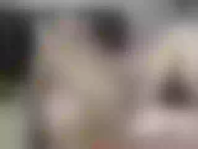 Live sex webcam photo for pussyboy19 #277963584
