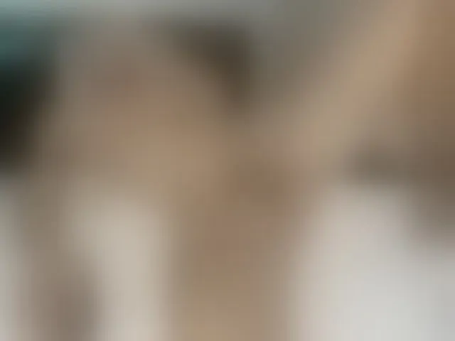 Live sex webcam photo for pussyboy19 #292499684