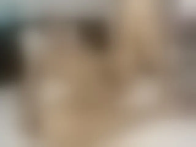Live sex webcam photo for pussyboy19 #293220612