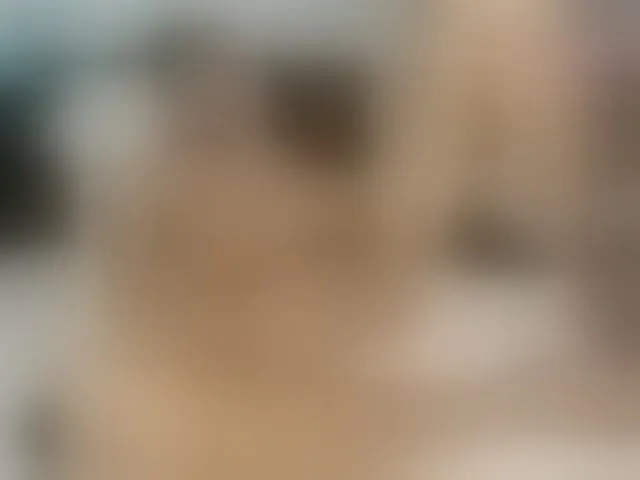 Live sex webcam photo for pussyboy19 #293641676