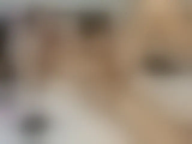 Live sex webcam photo for pussyboy19 #293705931