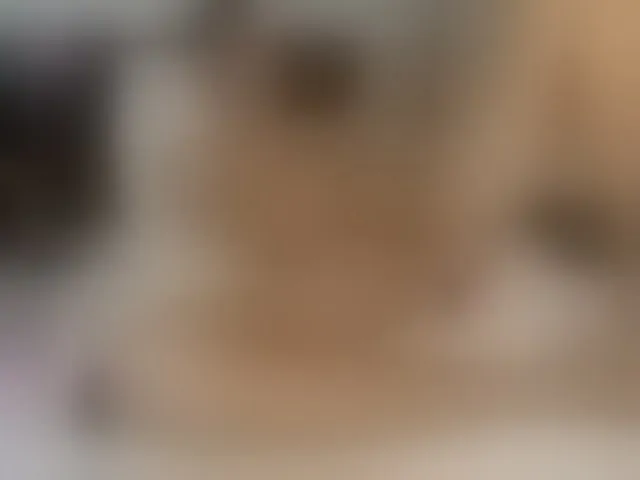 Live sex webcam photo for pussyboy19 #293810566