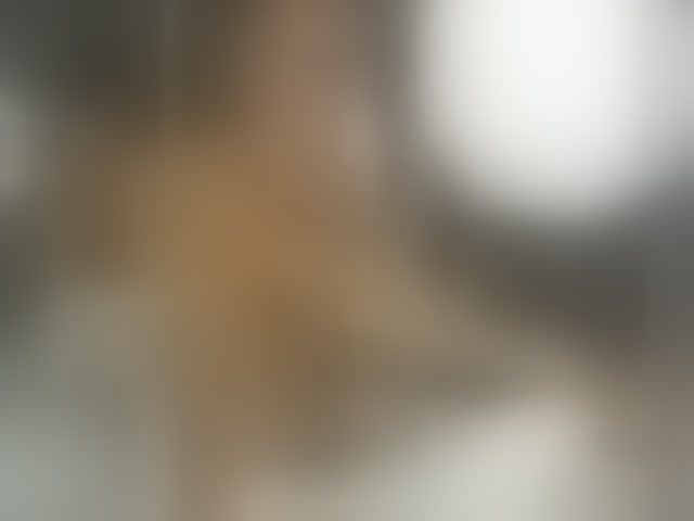 Live sex webcam photo for pussyboy19 #294162451