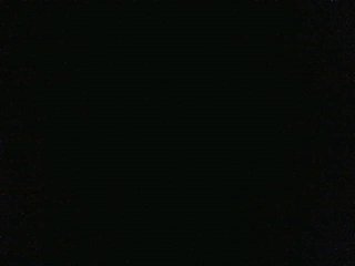 Live sex webcam photo for pussycams2 #179650129