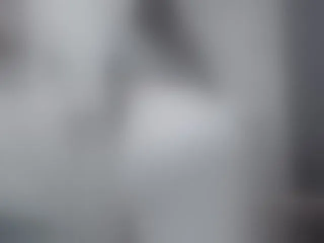 Live sex webcam photo for pussysweet99 #293801236