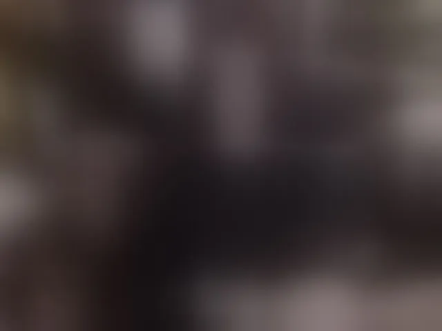 Live sex webcam photo for pussyxpaladin #293613440