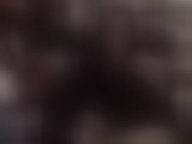 Live sex webcam photo for pussyxpaladin #293632096