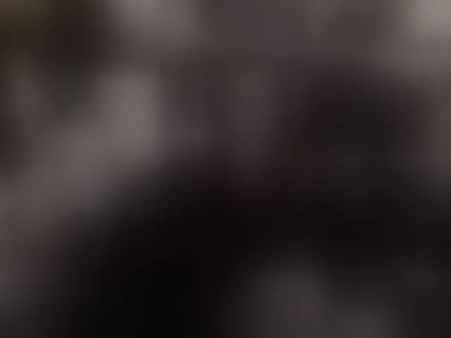 Live sex webcam photo for pussyxpaladin #293760926