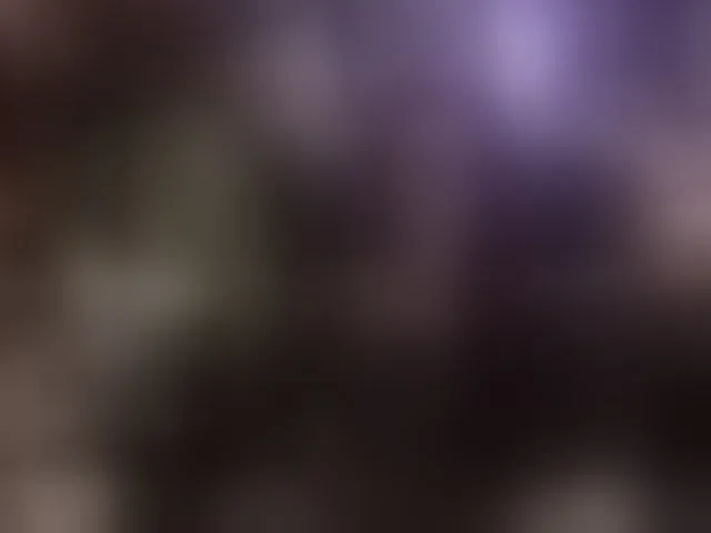 Live sex webcam photo for pussyxpaladin #293853713