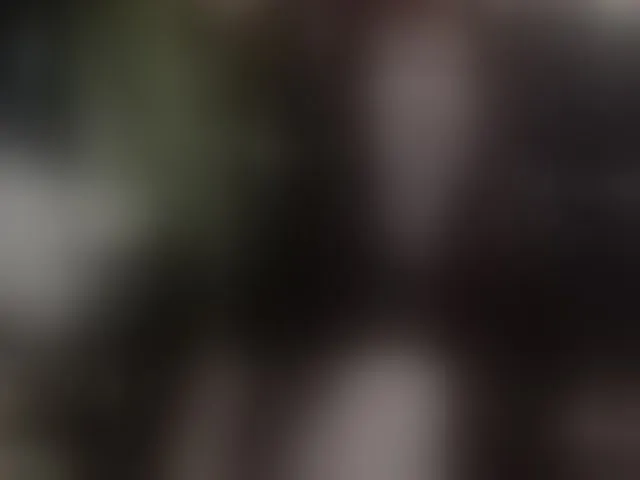 Live sex webcam photo for pussyxpaladin #293871996
