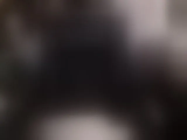 Live sex webcam photo for pussyxpaladin #294057165