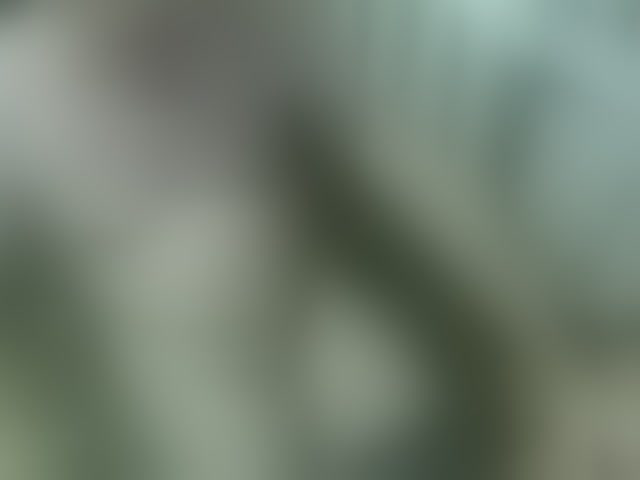 Live sex webcam photo for qaz75va #291596844