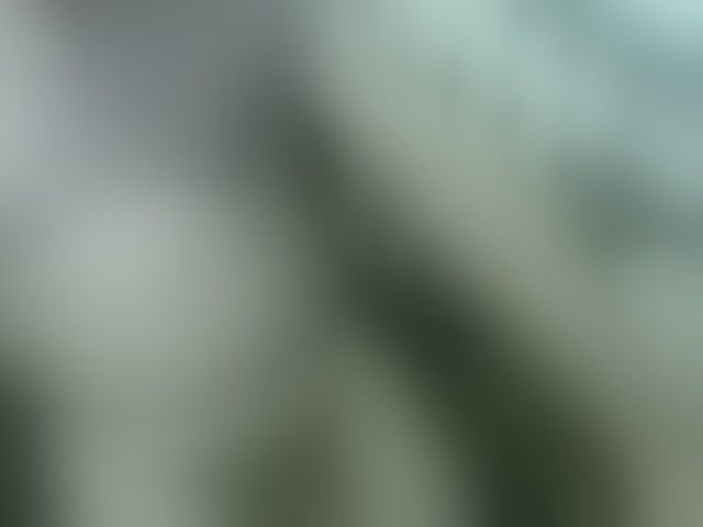 Live sex webcam photo for qaz75va #291636490