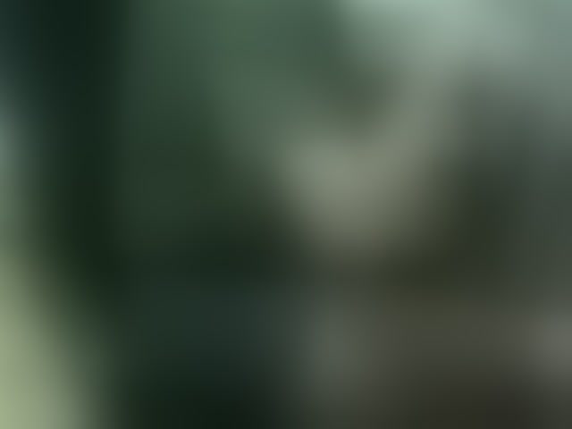 Live sex webcam photo for qaz75va #291873500