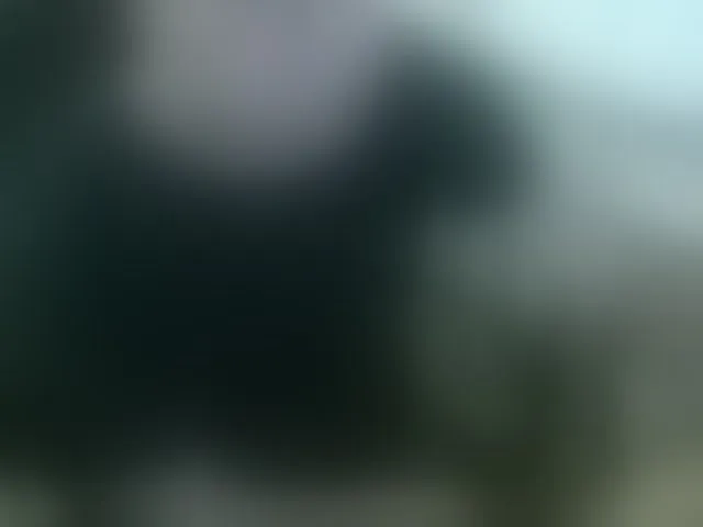 Live sex webcam photo for qaz75va #292008863