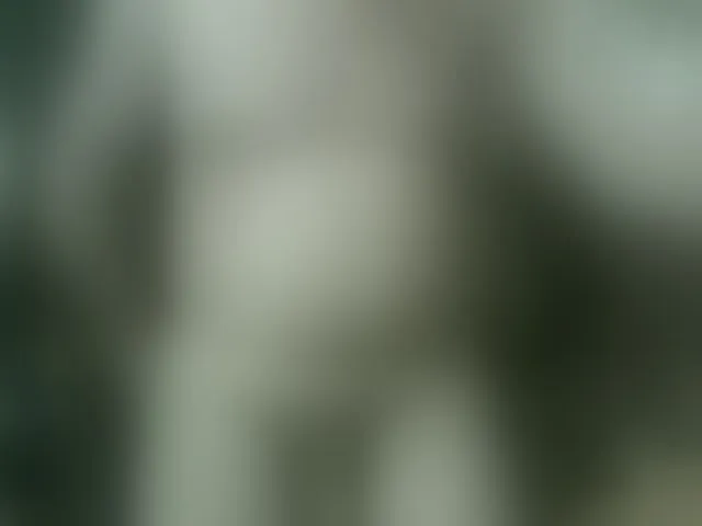 Live sex webcam photo for qaz75va #292424744