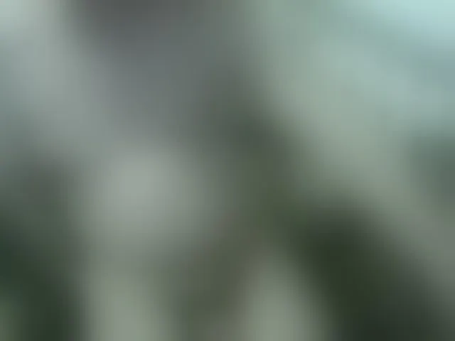 Live sex webcam photo for qaz75va #292431083