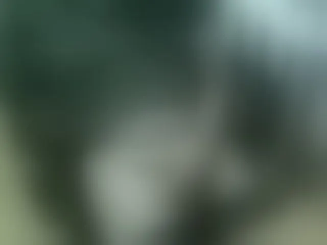 Live sex webcam photo for qaz75va #292585322