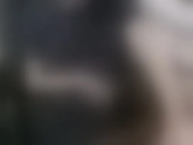 Live sex webcam photo for qaz75va #292802506