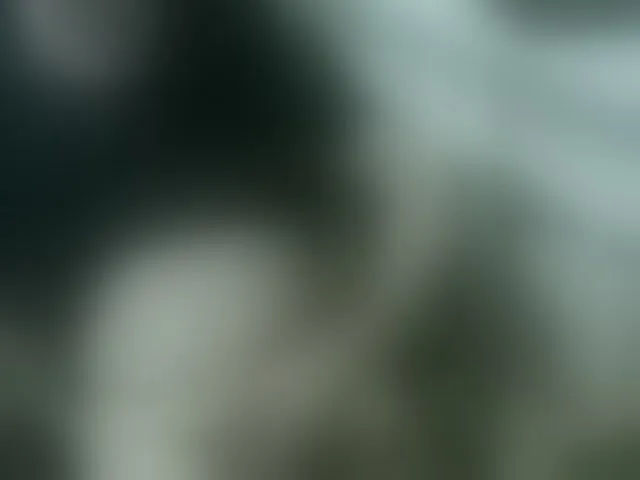 Live sex webcam photo for qaz75va #292955058