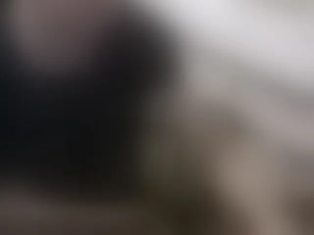Live sex webcam photo for qaz75va #293338526