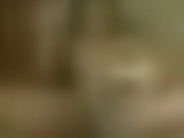 Live sex webcam photo for queenivy #291875943