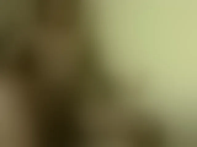 Live sex webcam photo for queenivy #291903971