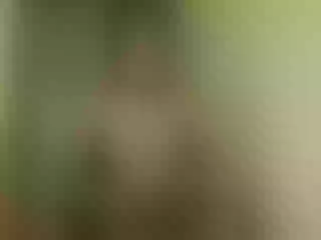 Live sex webcam photo for queenivy #291922666