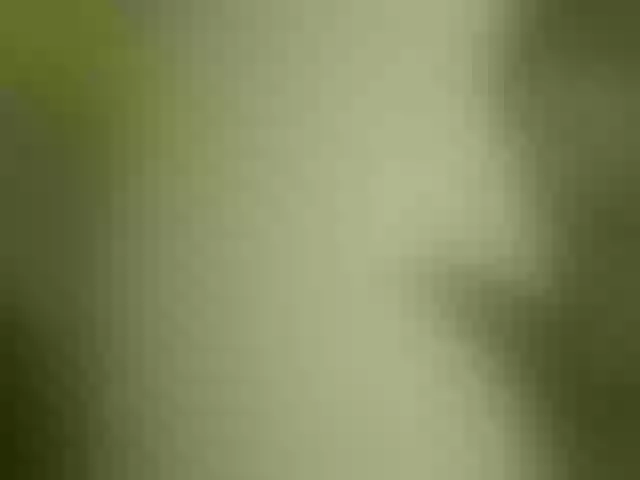 Live sex webcam photo for queenivy #291929802