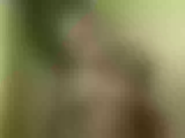 Live sex webcam photo for queenivy #292010550