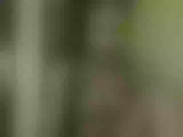 Live sex webcam photo for queenivy #292062457