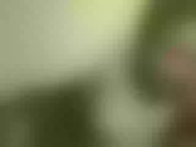 Live sex webcam photo for queenivy #292070454