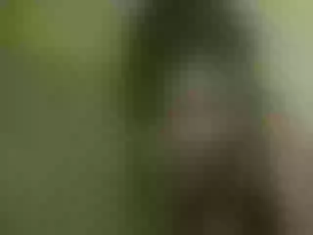 Live sex webcam photo for queenivy #292075840