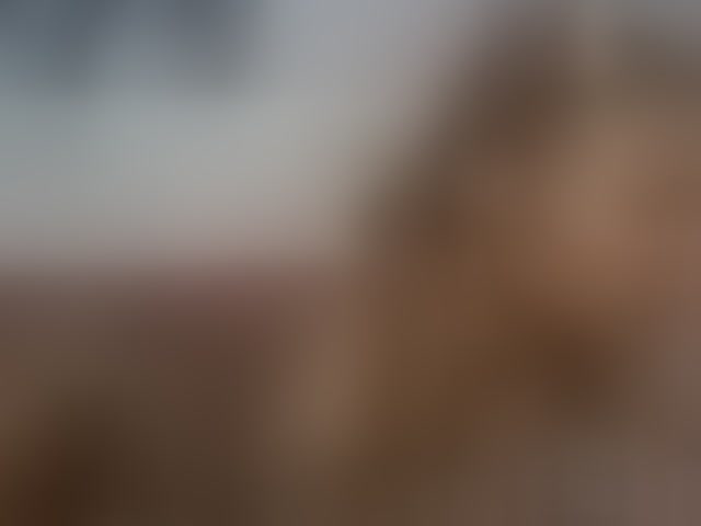 Live sex webcam photo for queenivy #292520589