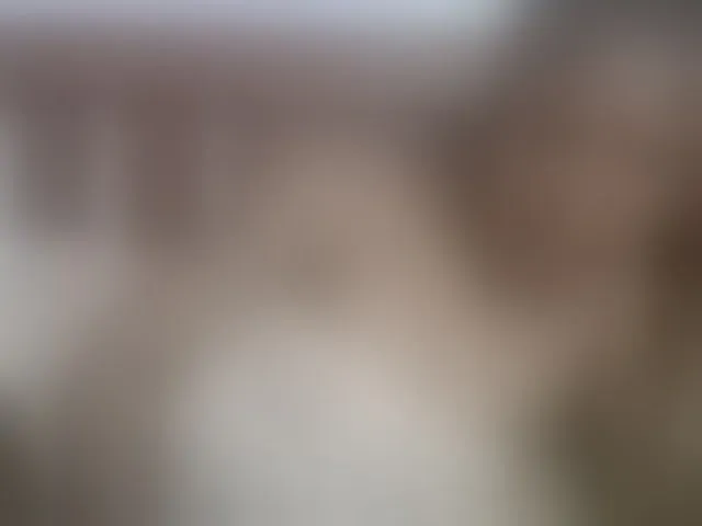 Live sex webcam photo for queenivy #292631684