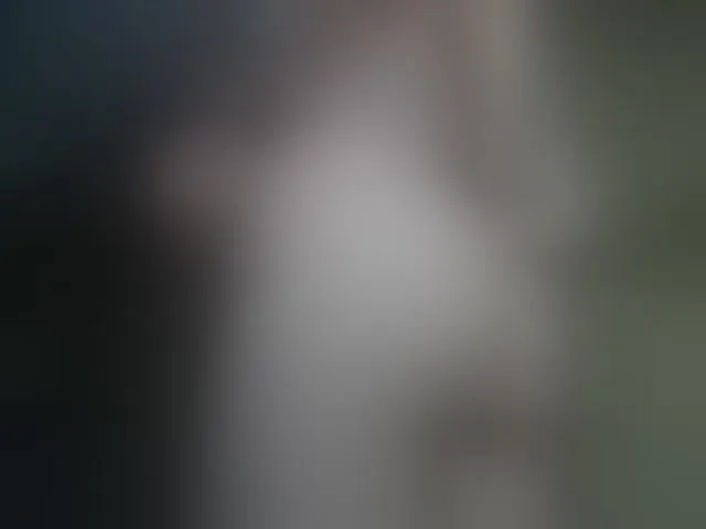 Live sex webcam photo for queenofvibes #288693504