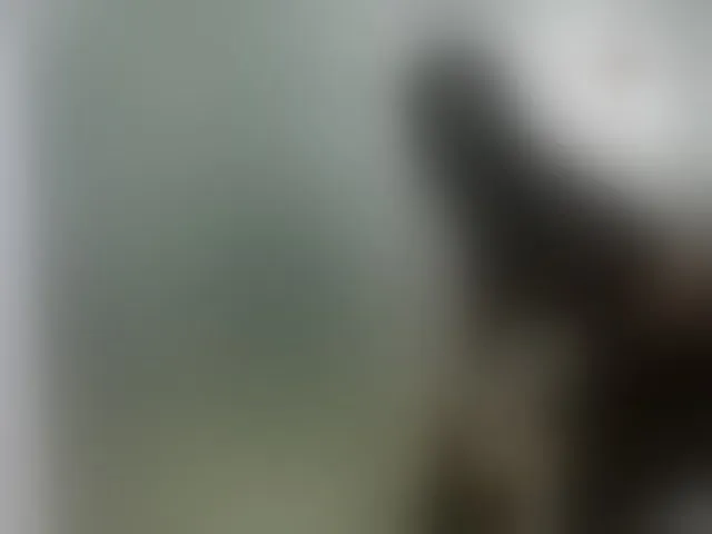 Live sex webcam photo for queenrafaelle #292738706